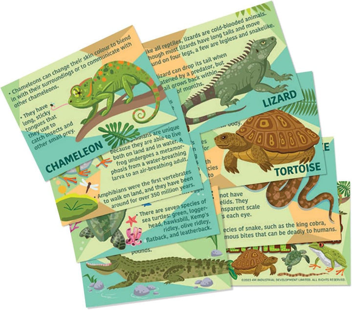 4M - Mould & Paint Kit - Reptile & Amphibian