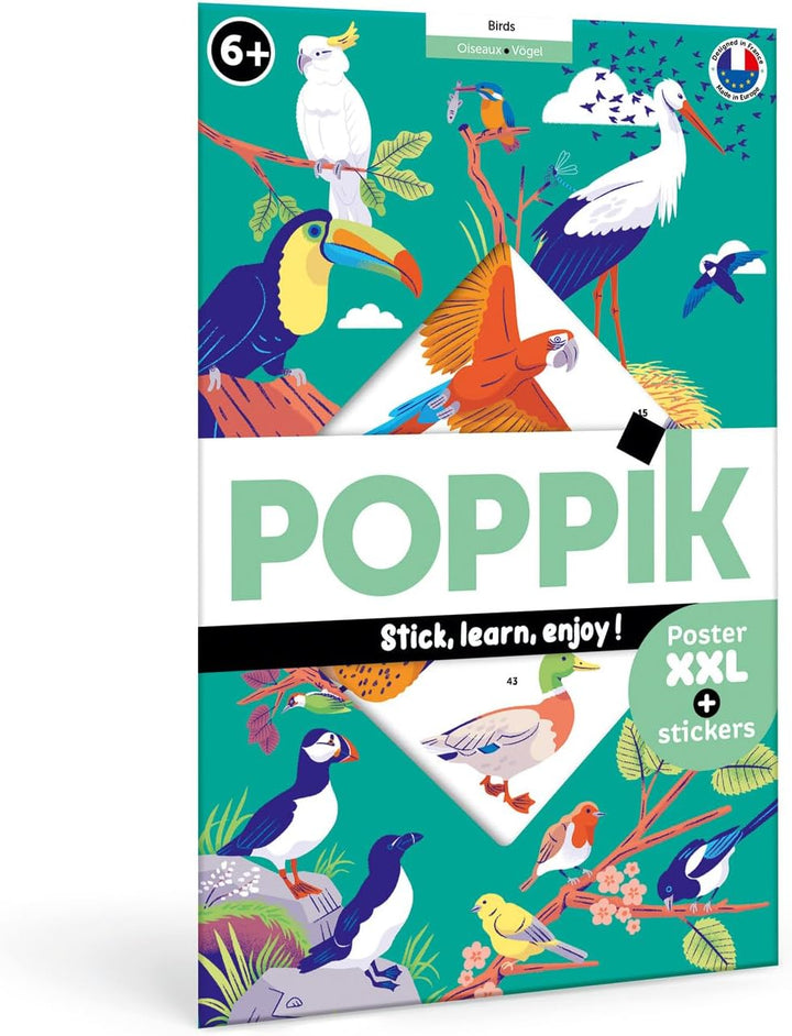 Discovery Large Poster & Sticker Set - Birds