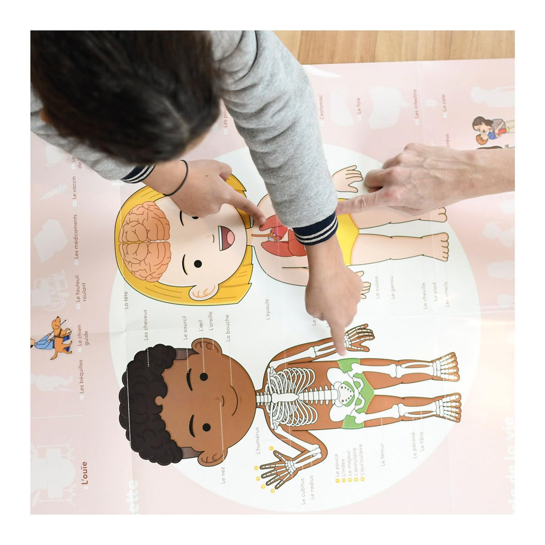 Discovery Large Poster & Sticker Set - Human Body