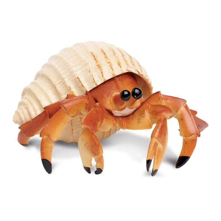 Safari - Hermit Crab