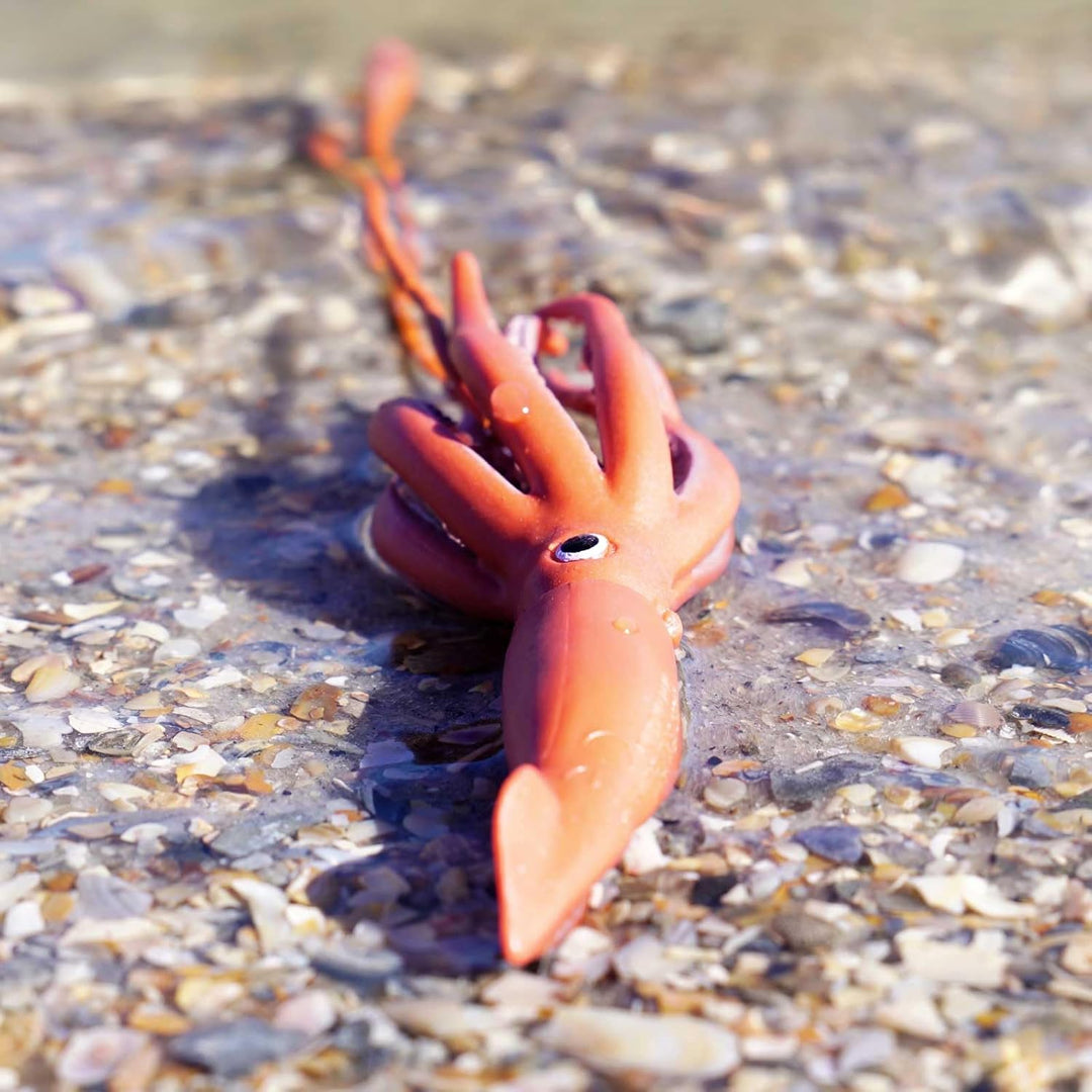 Safari - Giant Squid