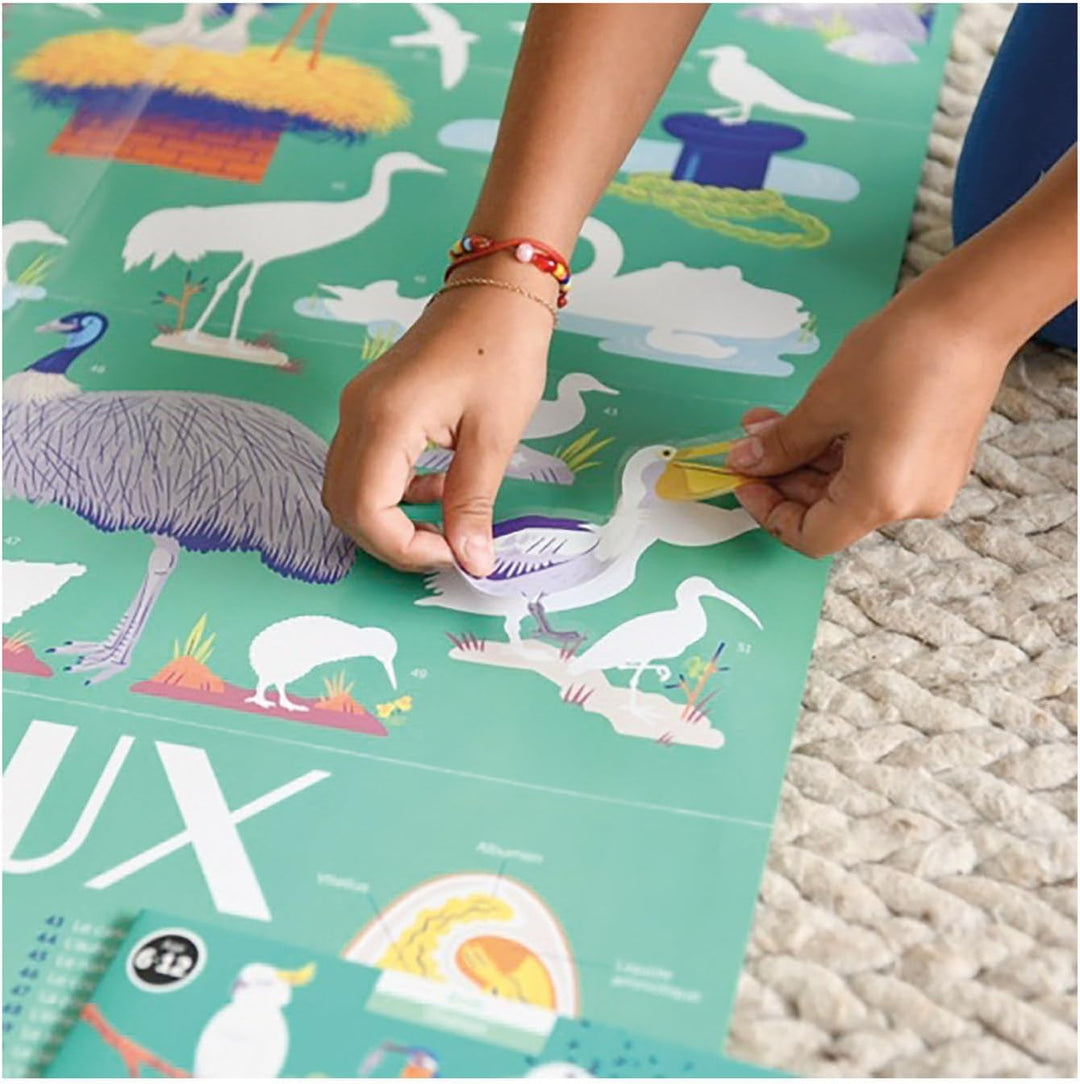 Discovery Large Poster & Sticker Set - Birds