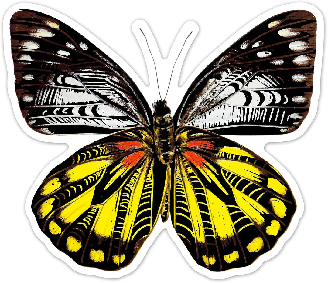 Avenir - Scratch Stickers Set - Butterfly