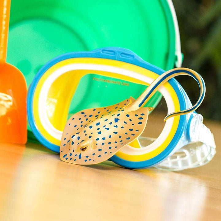 Safari - Blue Spotted Ray