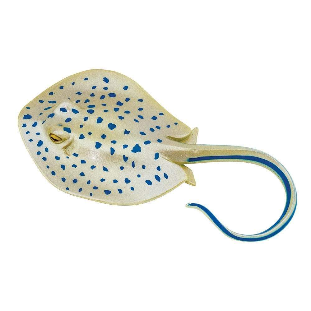 Safari - Blue Spotted Ray