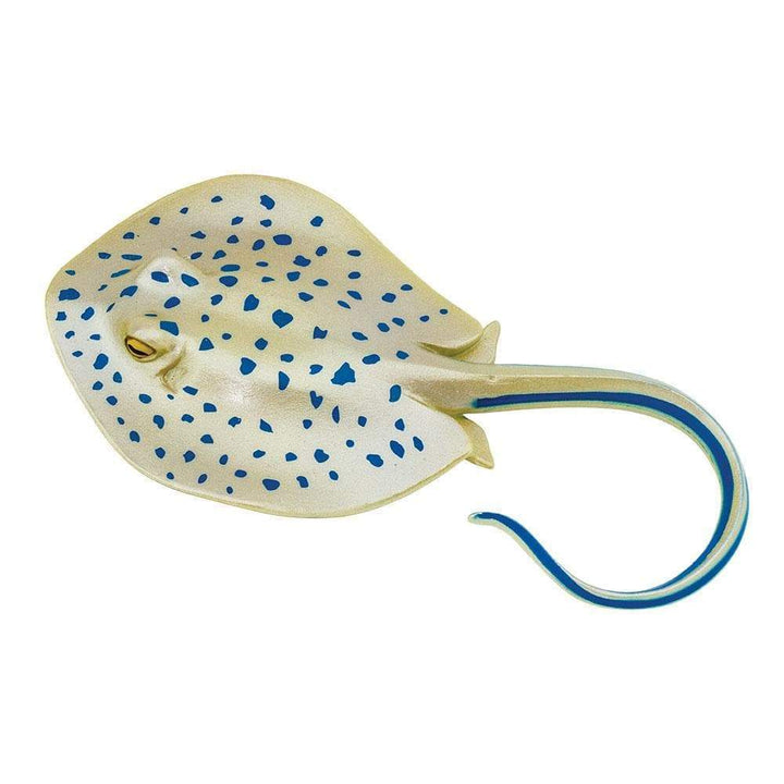 Safari - Blue Spotted Ray