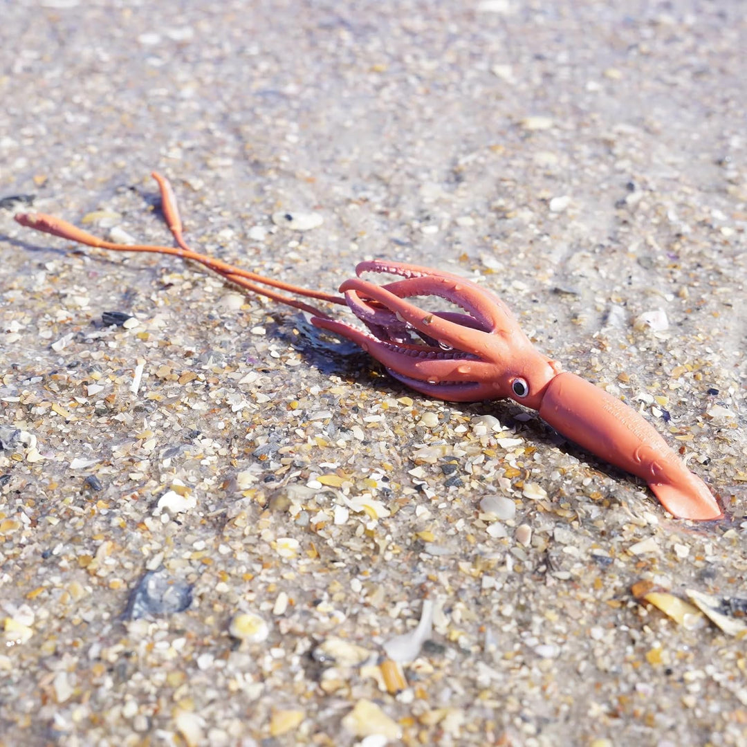 Safari - Giant Squid