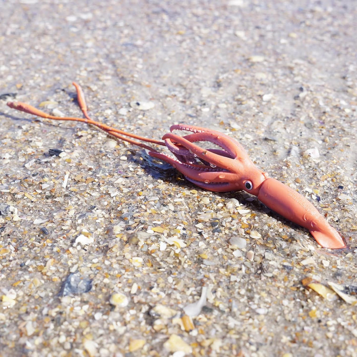 Safari - Giant Squid