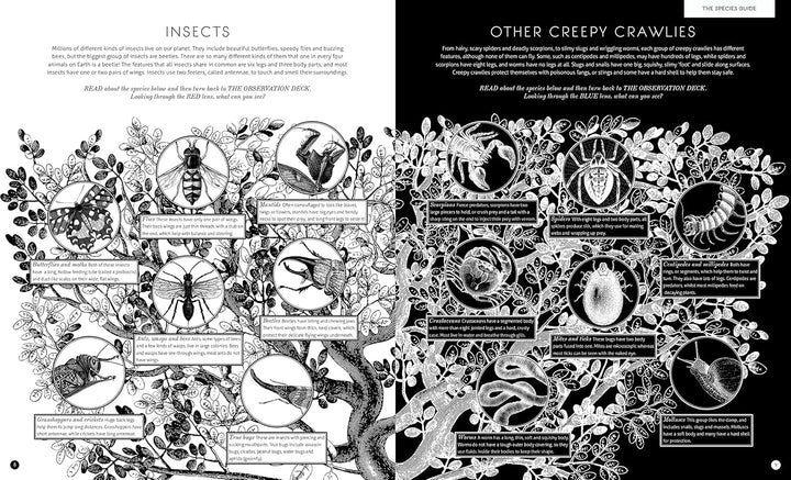 Book - Illumibugs
