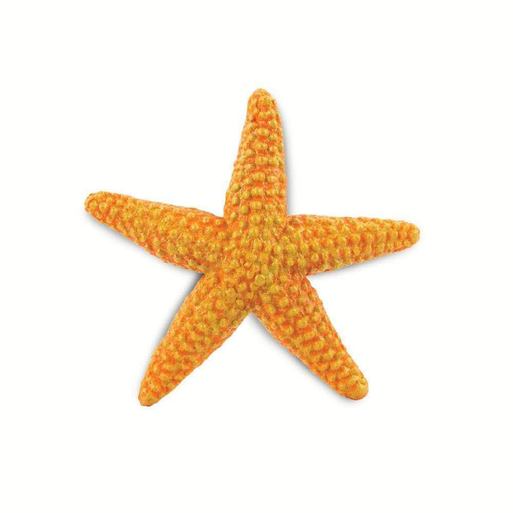 Safari - Starfish