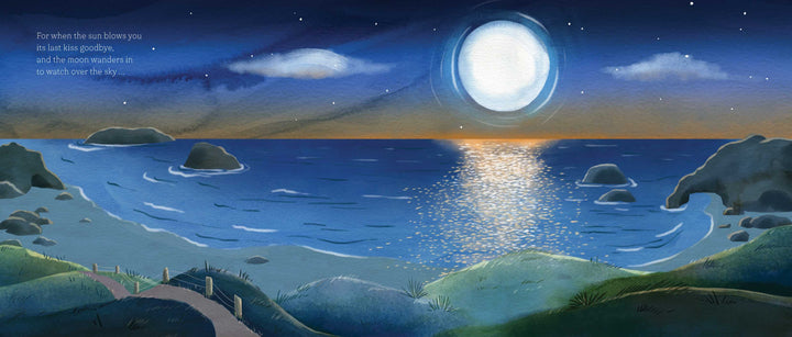 Book - Fairy Beach - By Sheila Snaggs