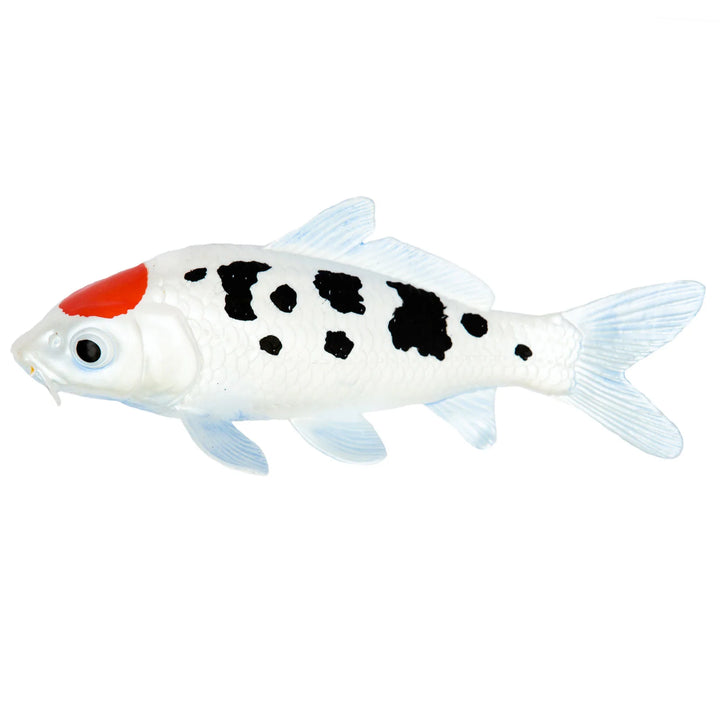 Safari - Koi Fish Tancho