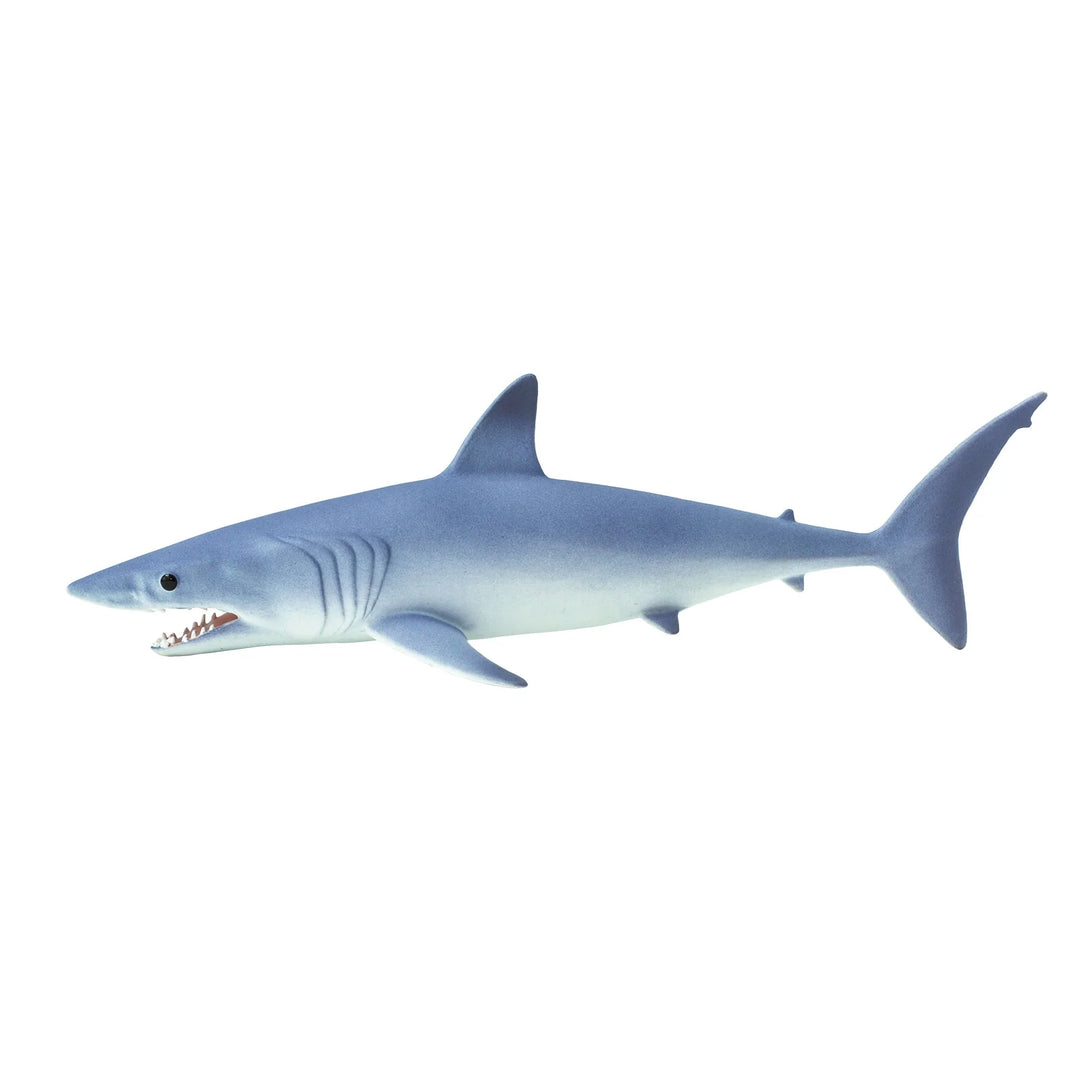 Safari - Mako Shark