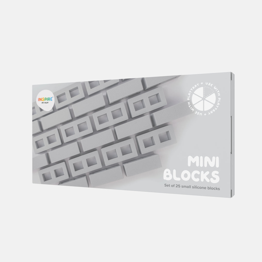 Inspire My Play - Mini Blocks (Set of 25)