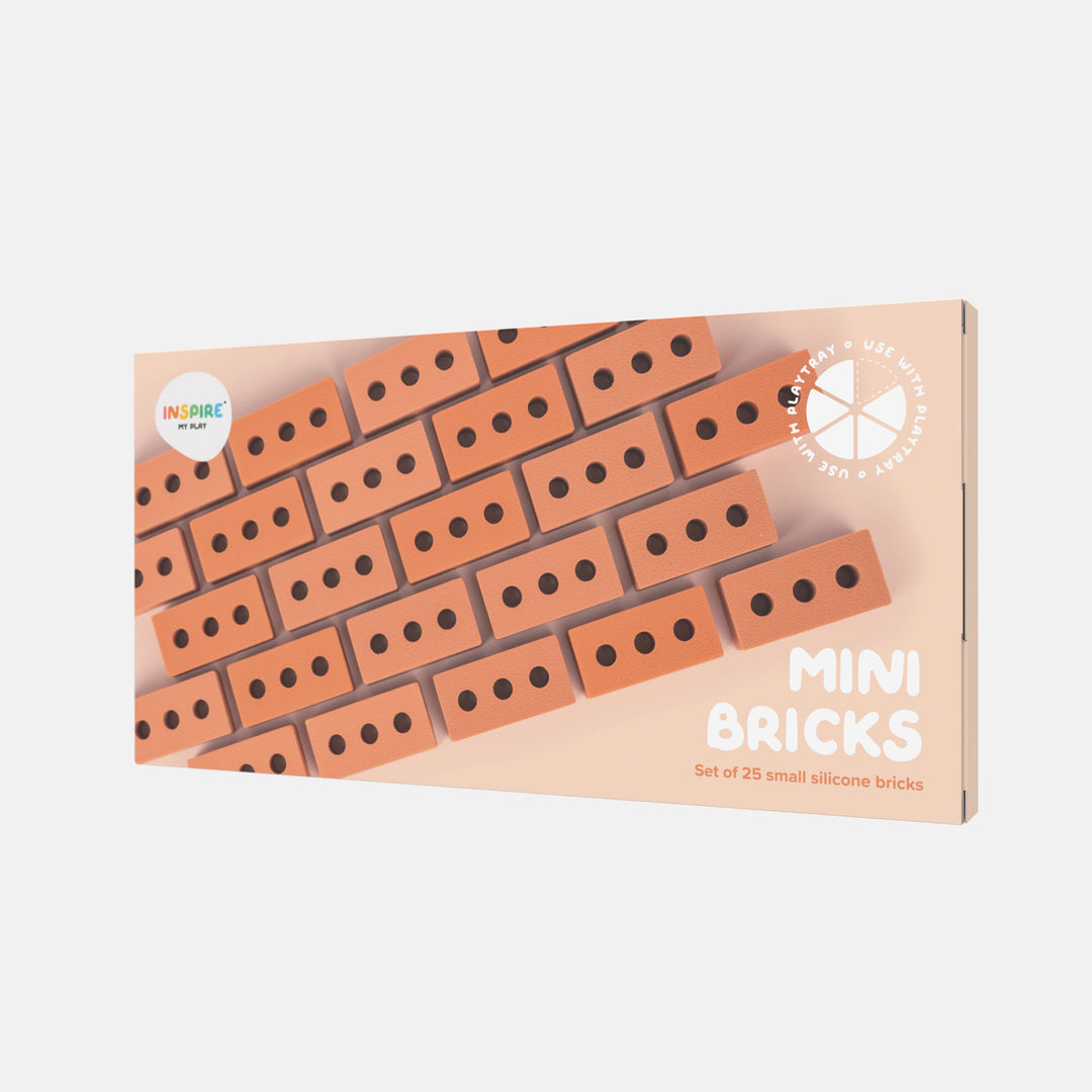 Inspire My Play - Mini Bricks (Set of 25)