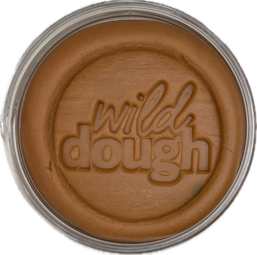 Rainbow Brights Scented Playdough - Chocolate Brown (280g Jar)