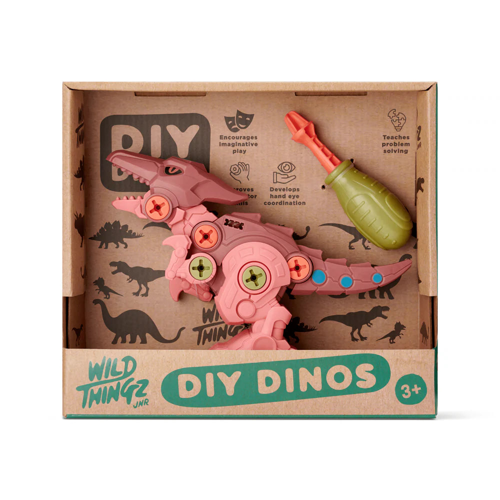 Johnco - DIY Dinos - Pterosaur