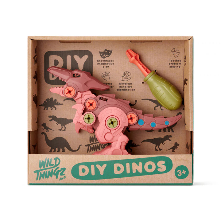 Johnco - DIY Dinos - Pterosaur