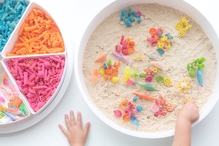 The PlayTRAY™ with Lid & Removable Compartments