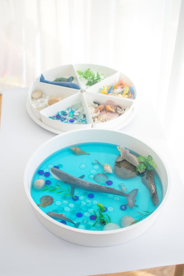 The PlayTRAY™ with Lid & Removable Compartments