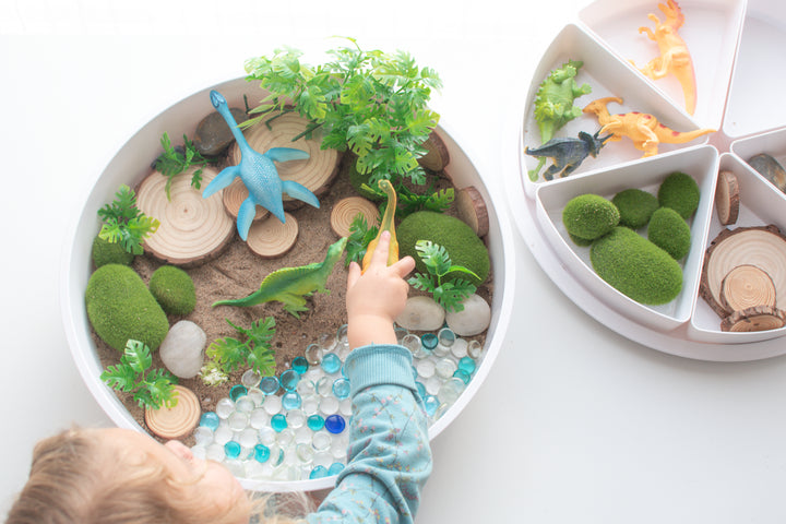 The PlayTRAY™ with Lid & Removable Compartments