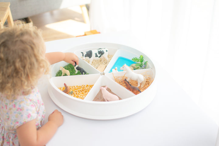 The PlayTRAY™ with Lid & Removable Compartments