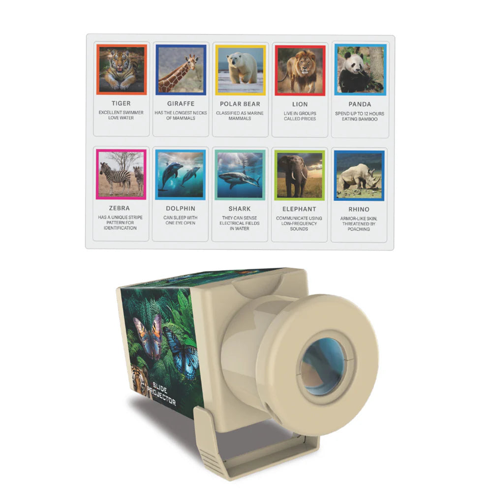4M - KidzLabs - Wildlife Slide Projector