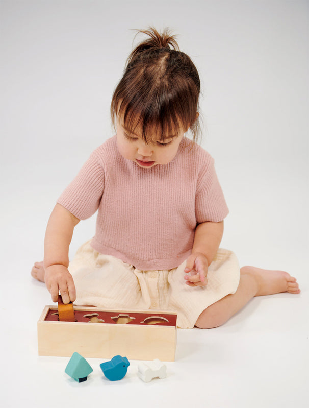 Mentari - Wooden Pet Shape Sorting Box