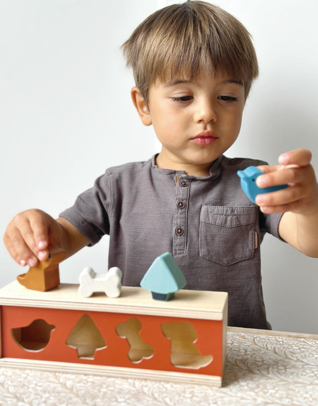 Mentari - Wooden Pet Shape Sorting Box