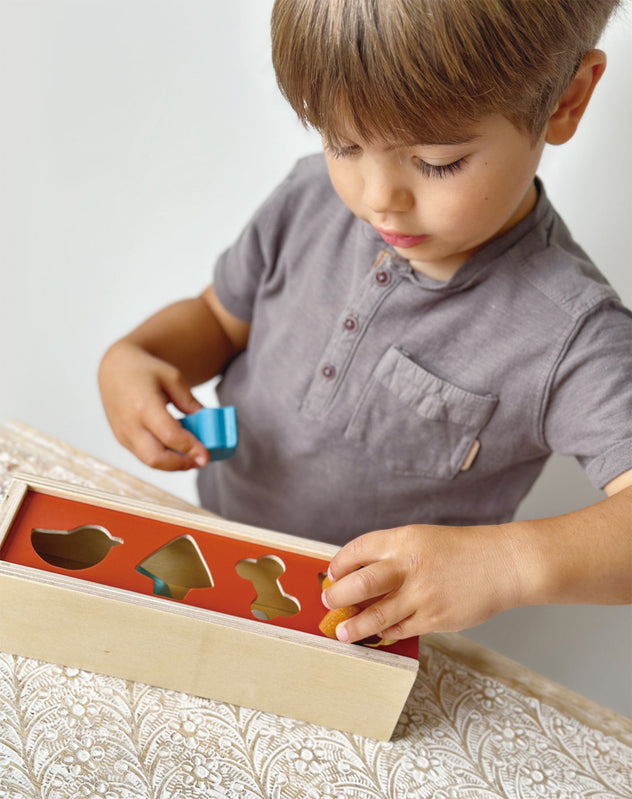 Mentari - Wooden Pet Shape Sorting Box