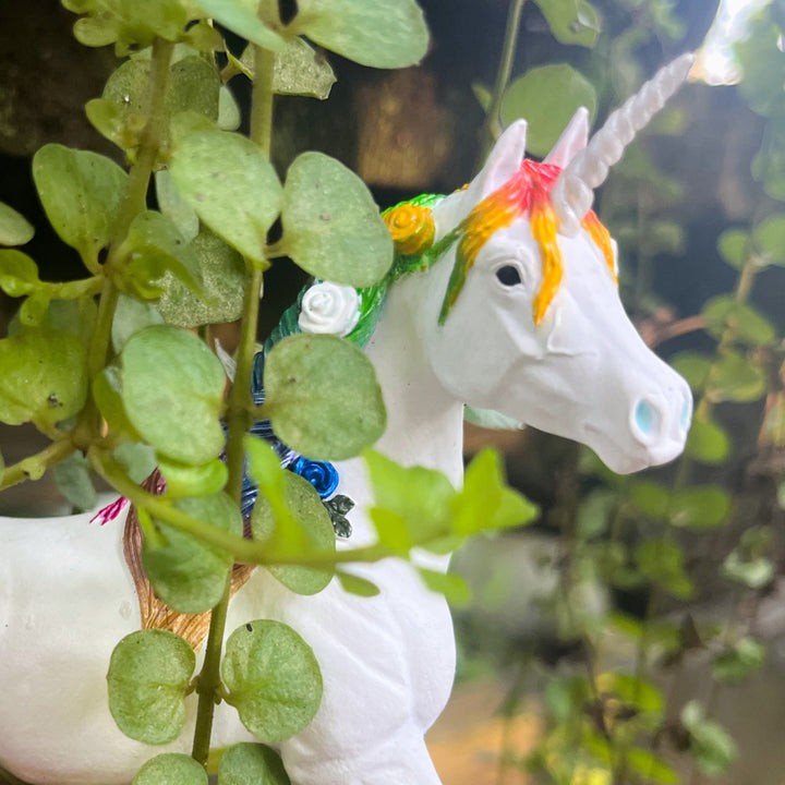 Safari - Rainbow Unicorn