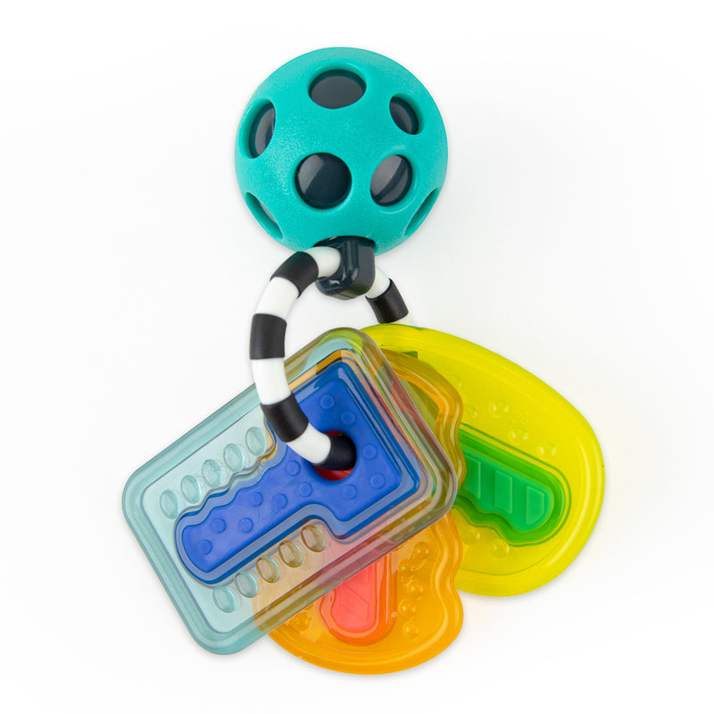 Sassy Baby - Drive n' Drool Keys