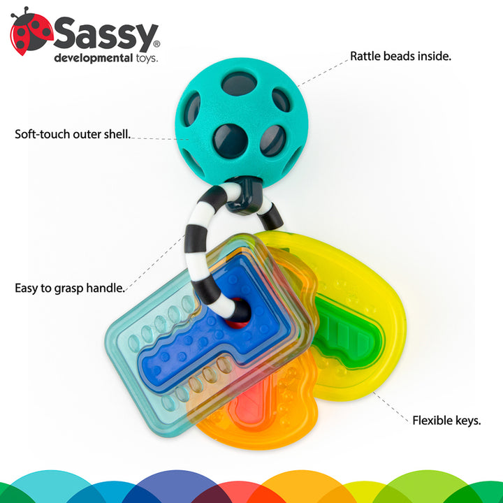 Sassy Baby - Drive n' Drool Keys
