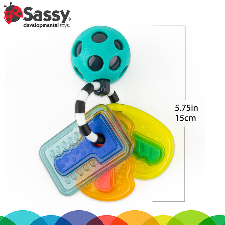 Sassy Baby - Drive n' Drool Keys