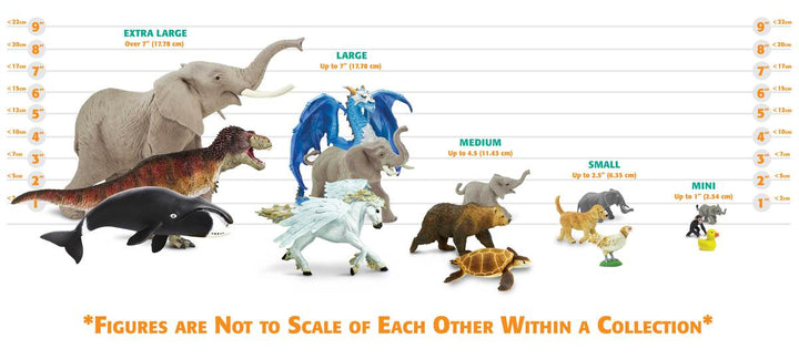 Safari - Weedy Seadragon