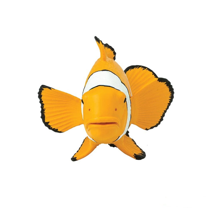 Safari - Clown Anemonefish