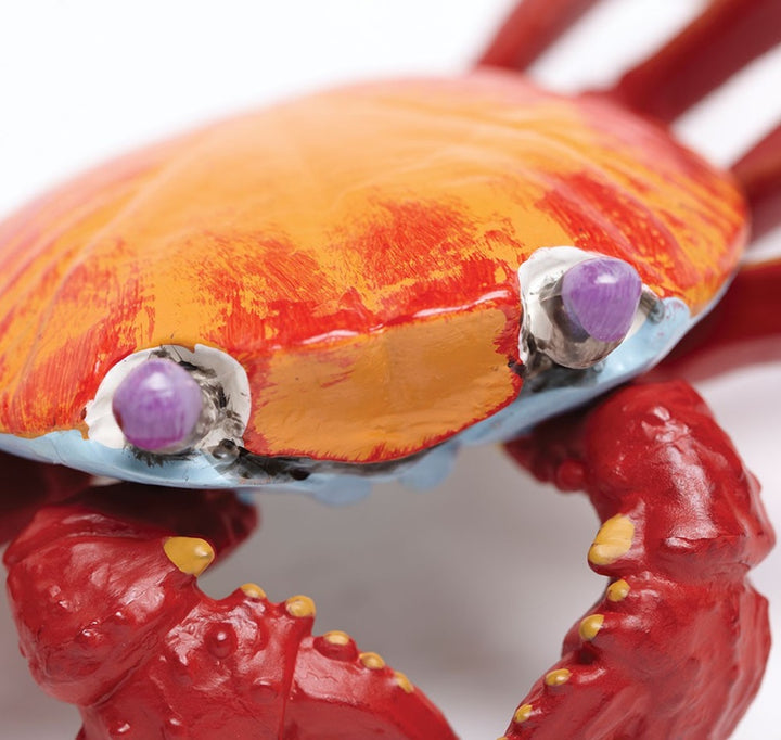 Safari - Galapagos Sally Lightfoot Crab