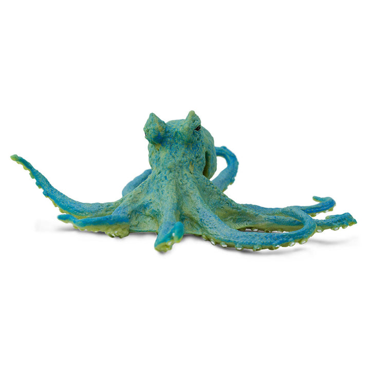 Safari - Octopus