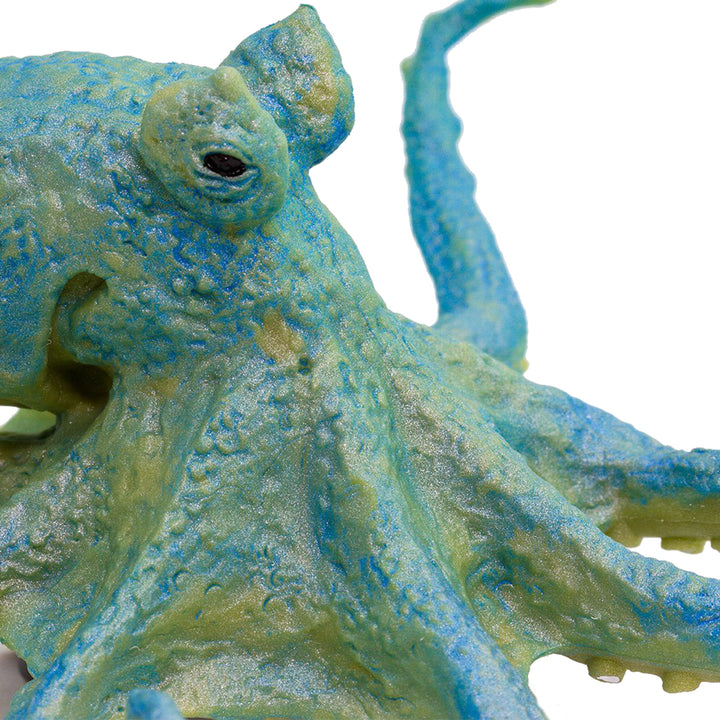 Safari - Octopus