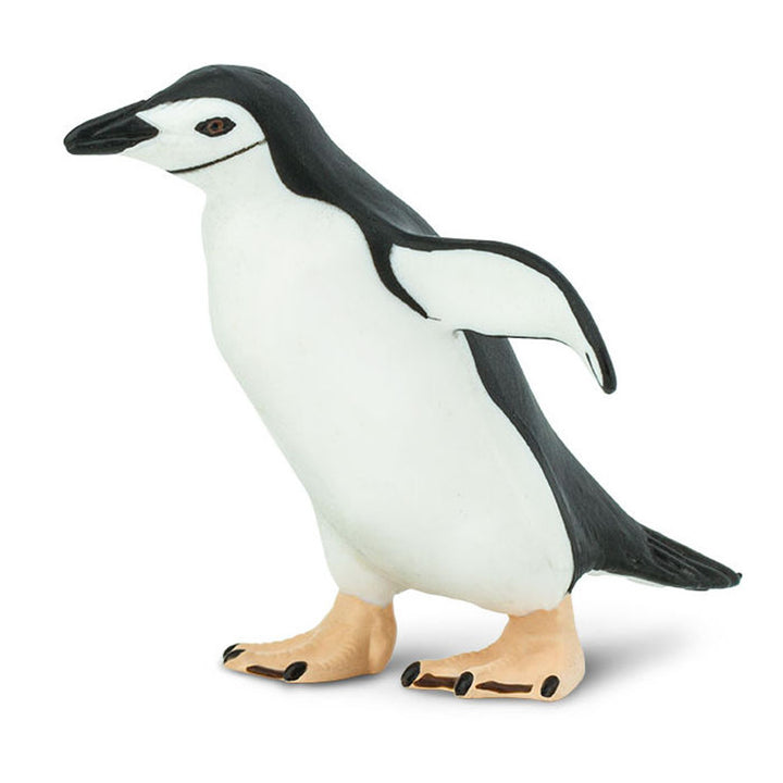 Safari - Chinstrap Penguin