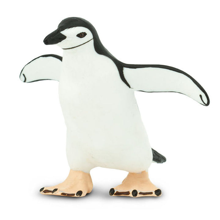 Safari - Chinstrap Penguin