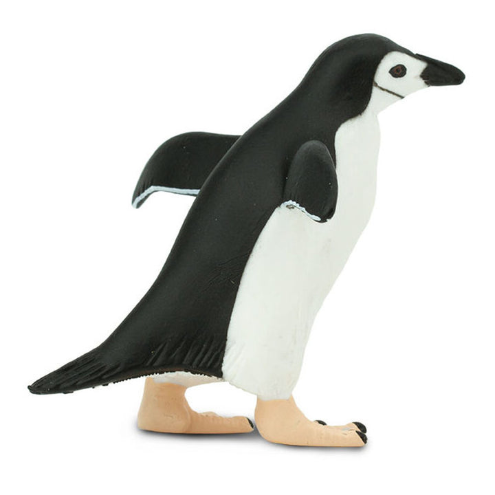 Safari - Chinstrap Penguin