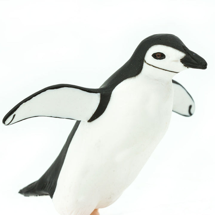 Safari - Chinstrap Penguin