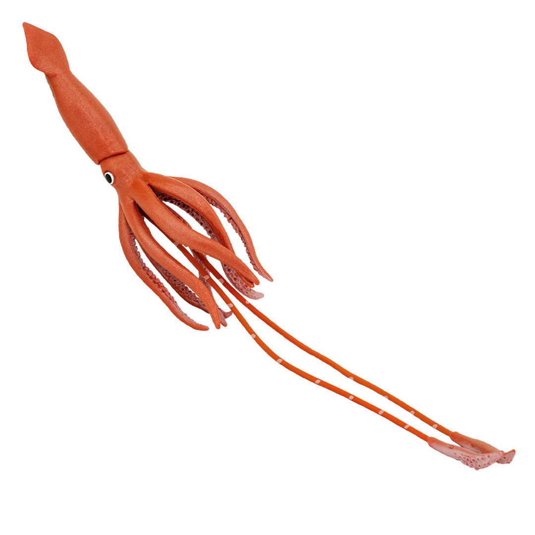 Safari - Giant Squid