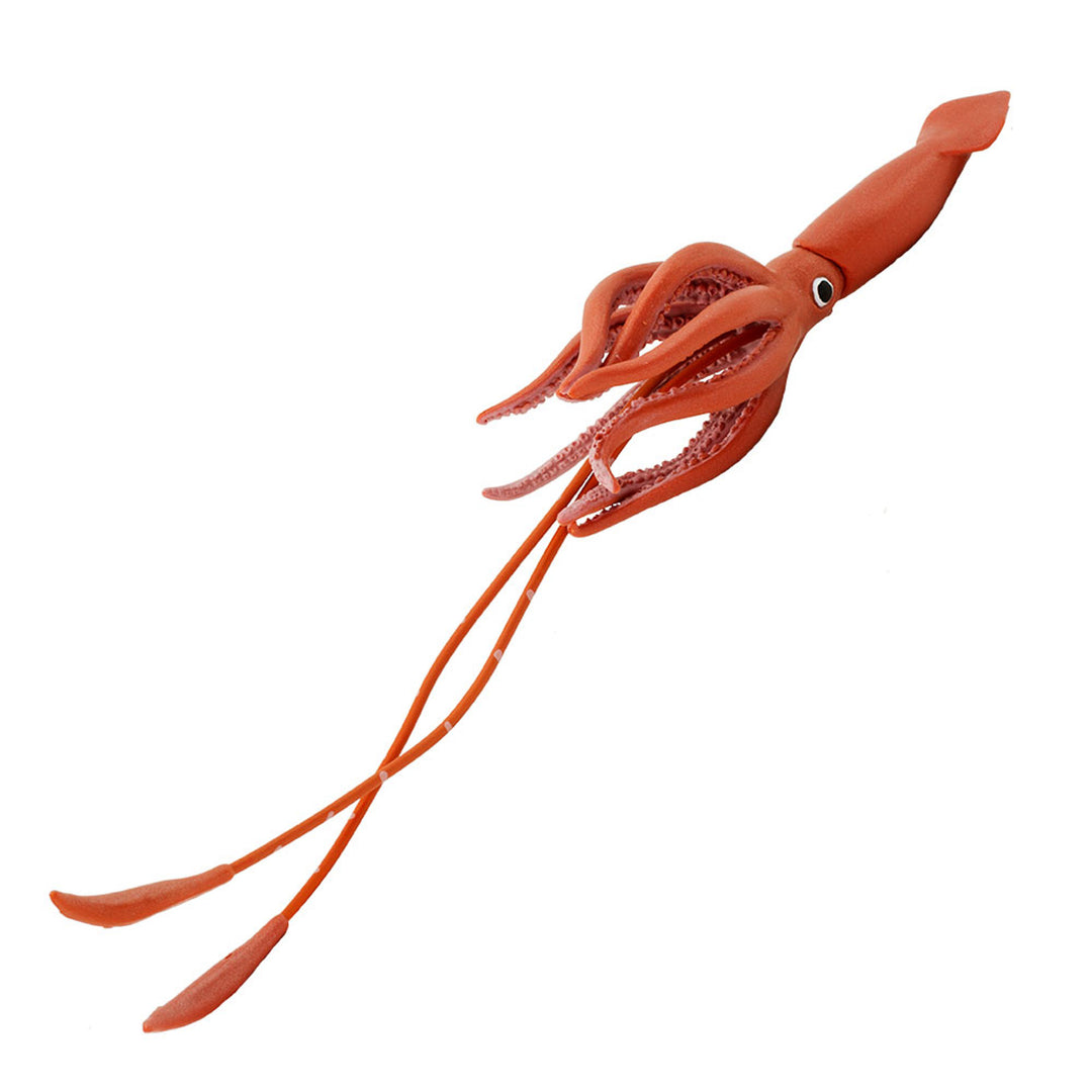 Safari - Giant Squid