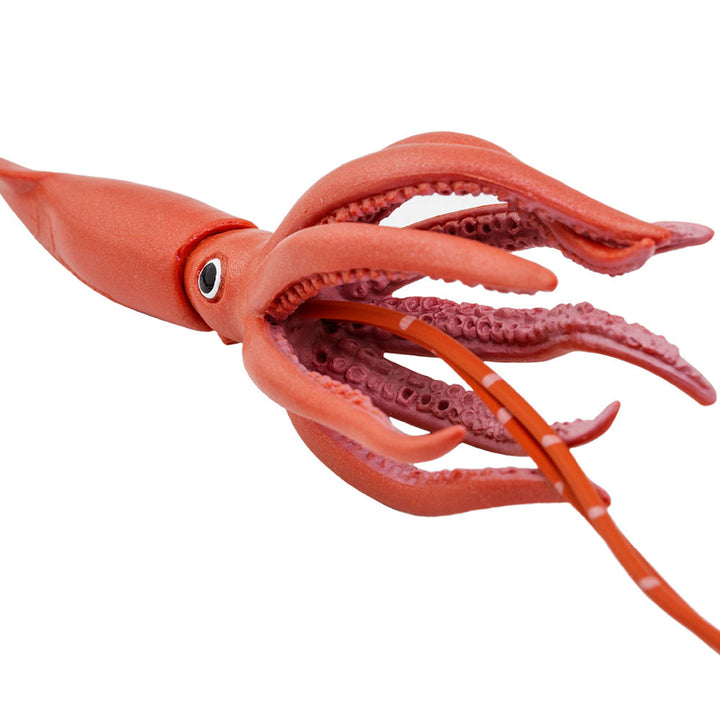 Safari - Giant Squid