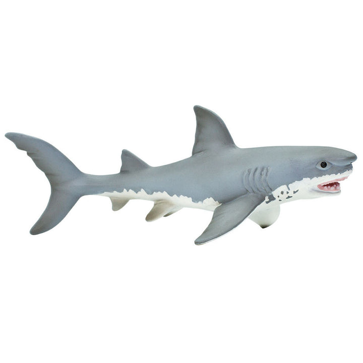 Safari - Great White Shark