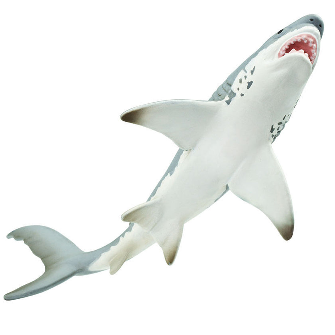 Safari - Great White Shark