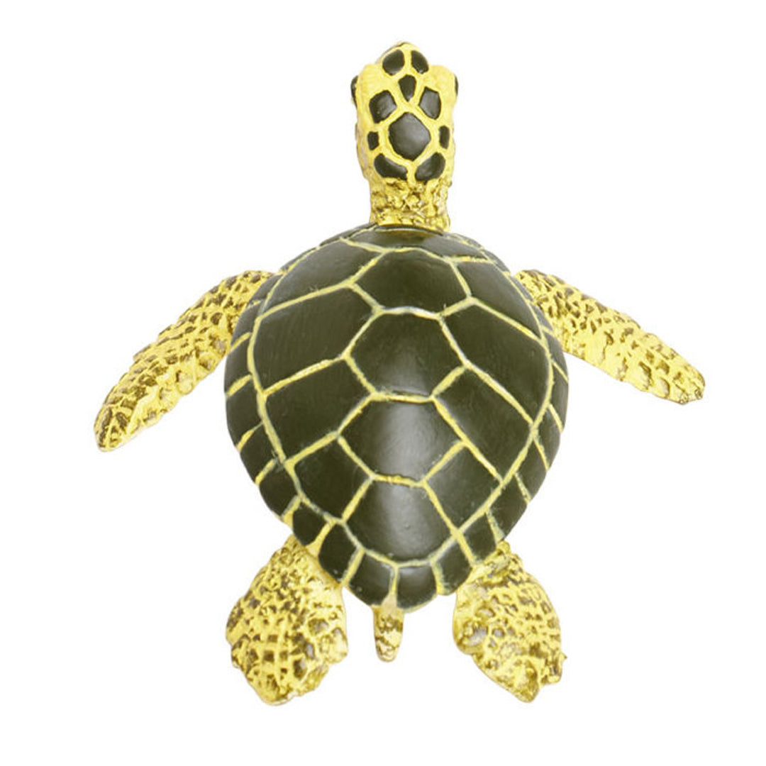 Safari - Green Sea Turtle Baby