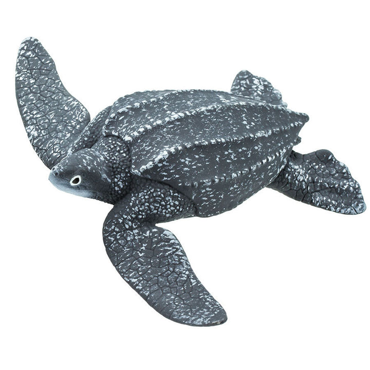 Safari - Leatherback Sea Turtle